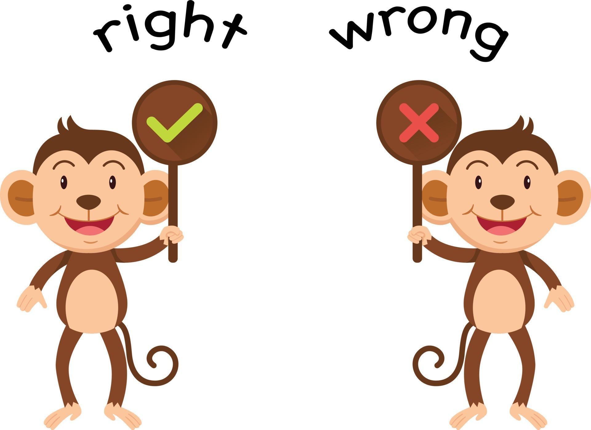 Where do i go wrong. Right wrong. opposites картинки для детей. картинка wrong right. wrong картинка для детей.