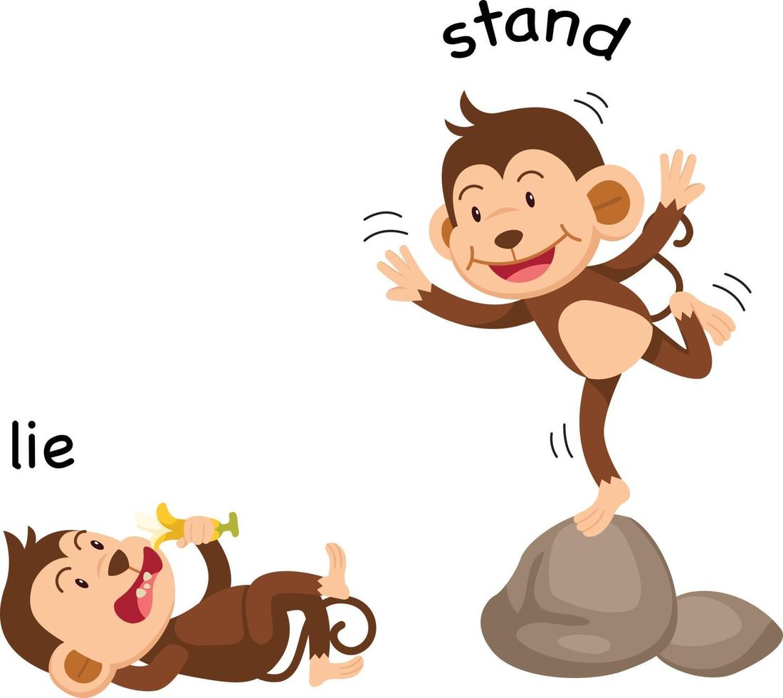 Opposite words lie and stand vector