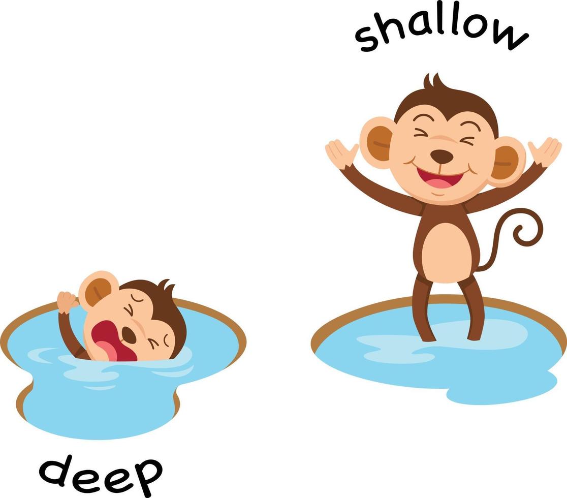 Opposite words deep and shallow vector