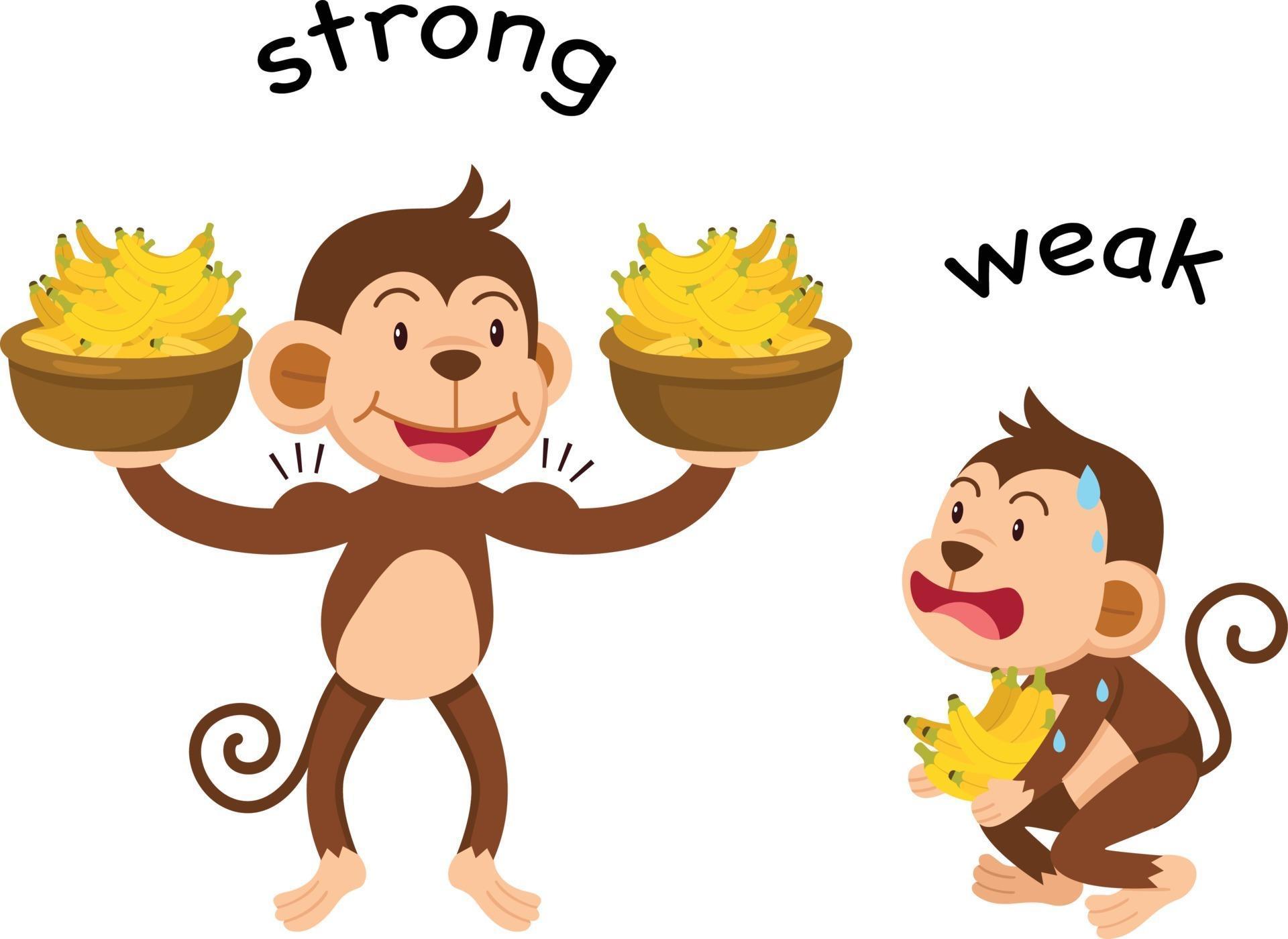 Opposite Words Strong And Weak Vector 3239696 Vector Art At Vecteezy