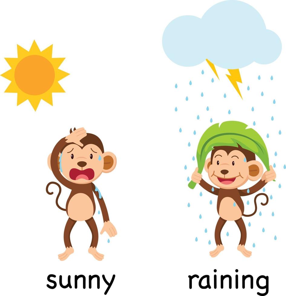 Opposite words sunny and raining vector