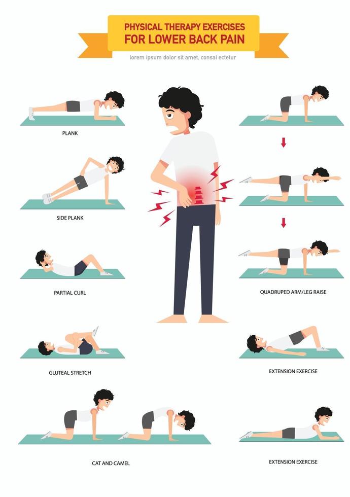 Physical therapy exercises for lower back pain infographic vector