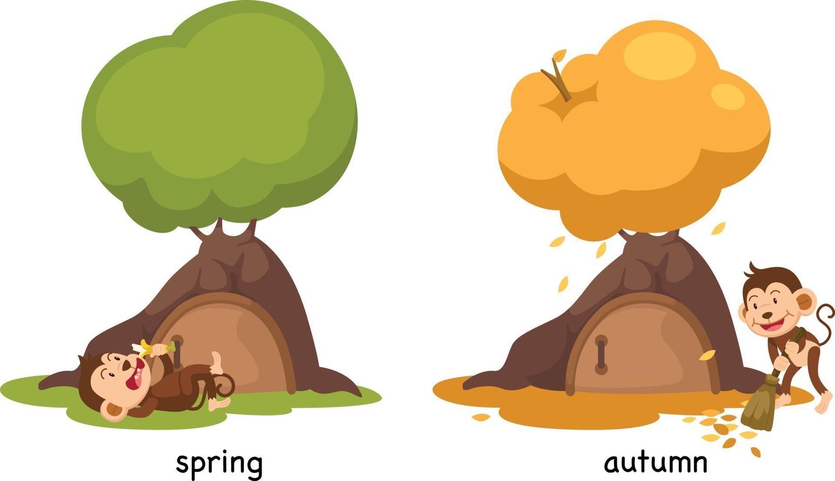 Opposite spring and autumn illustration vector