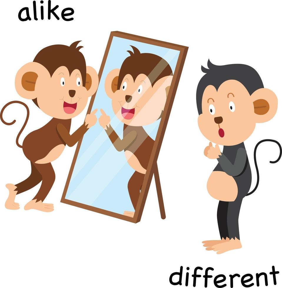 Opposite alike and different illustration vector