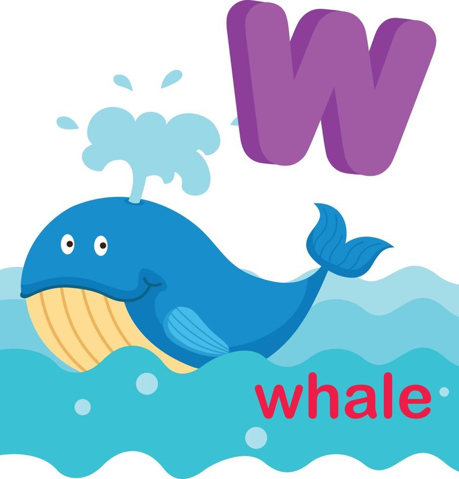 Illustration Isolated Alphabet Letter W Whale.vector vector