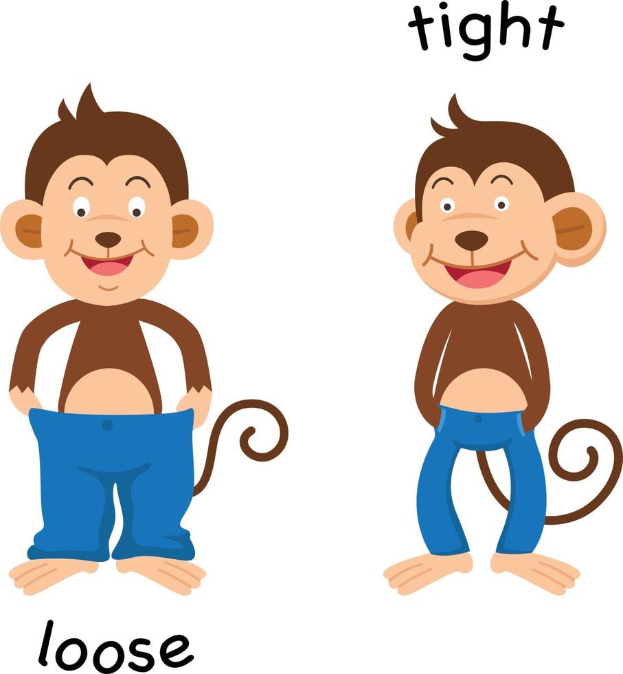 Opposite  loose and tight illustration vector