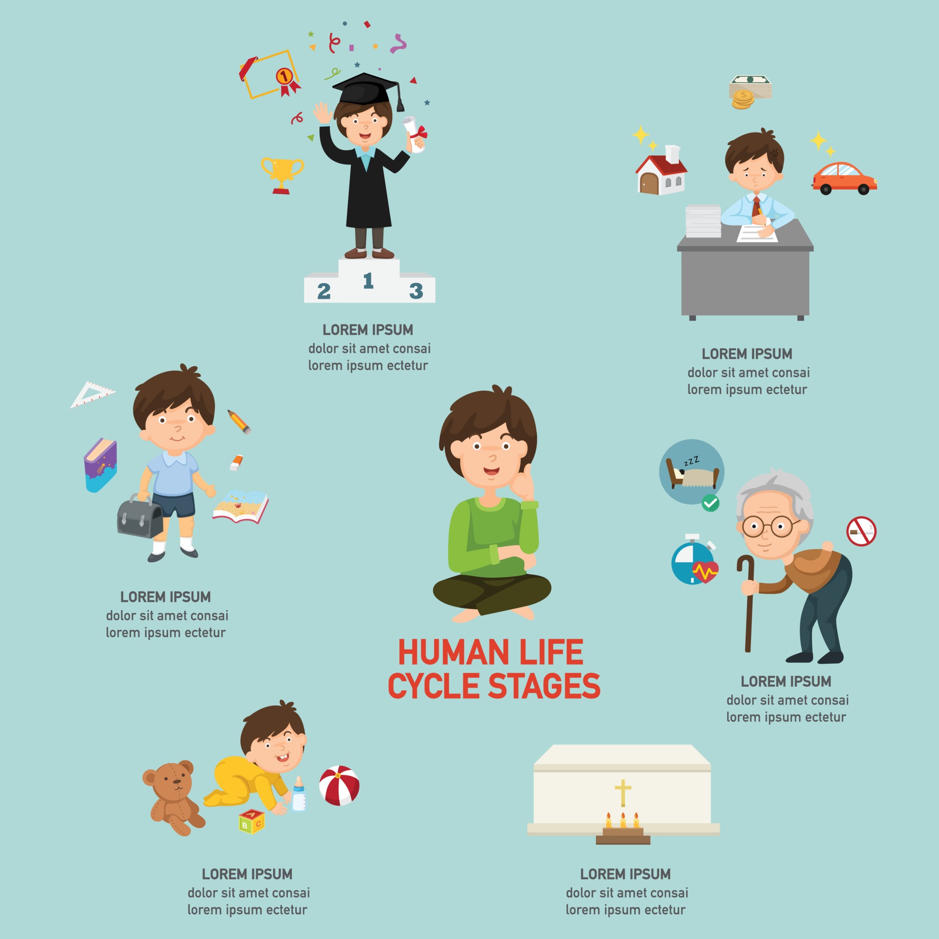 Life cycles of man stages growing up from baby Vector Image