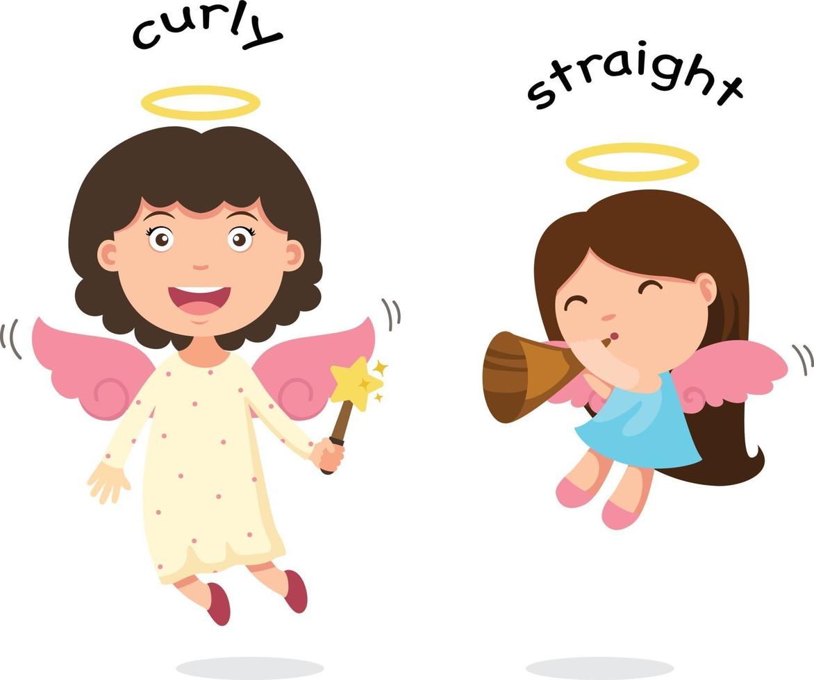 Opposite curly and straight vector illustration