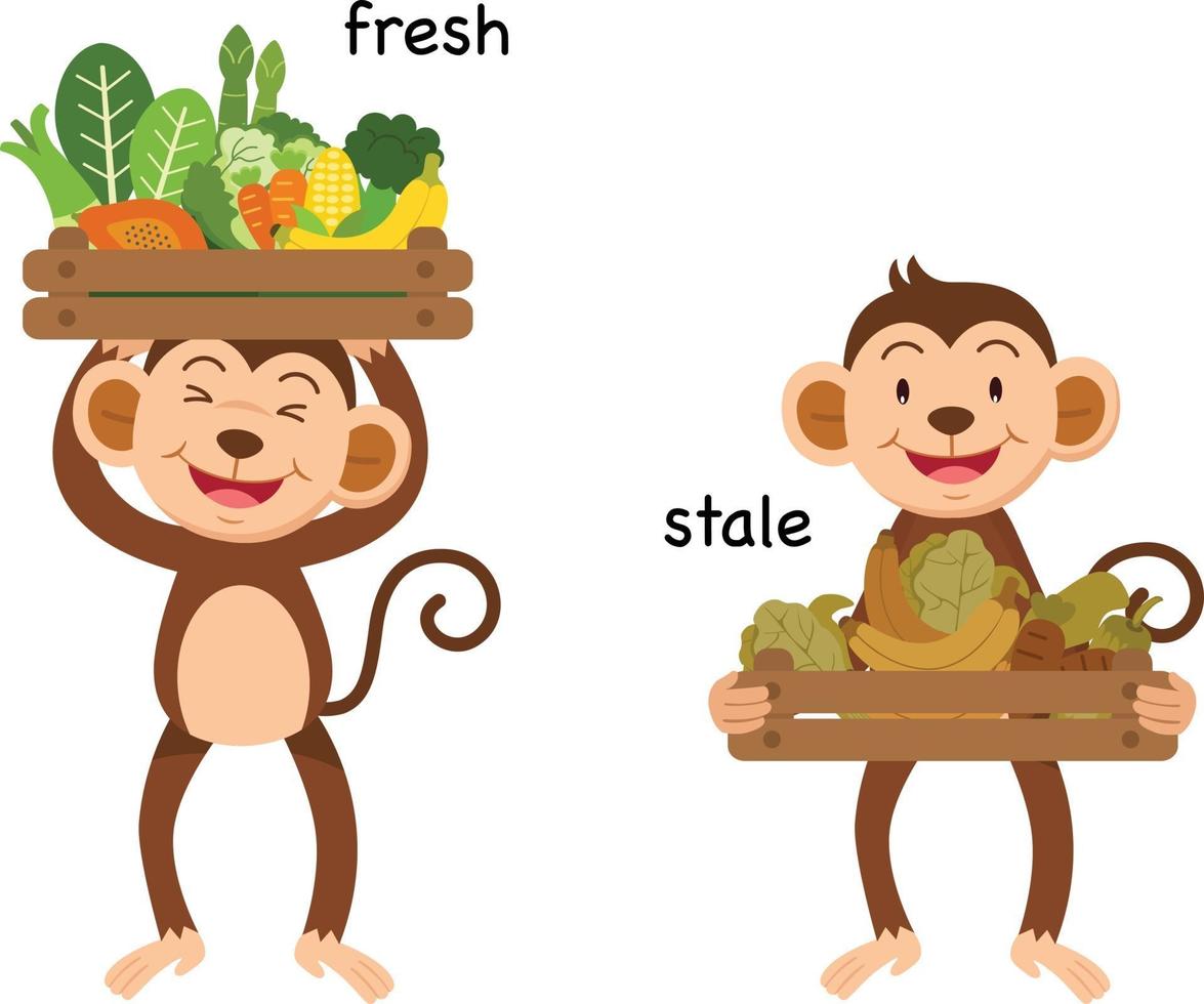 Opposite fresh and stale vector illustration