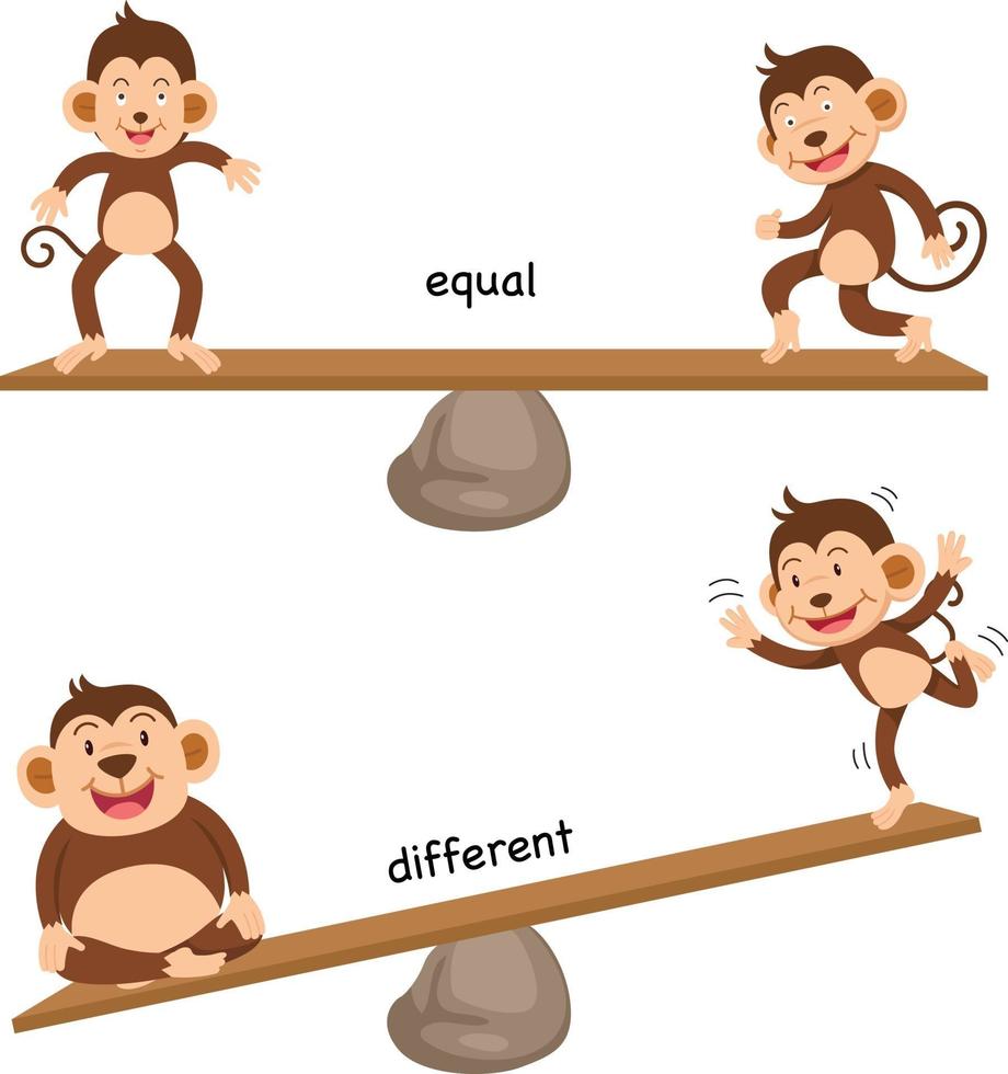 Opposite equal and different vector illustration