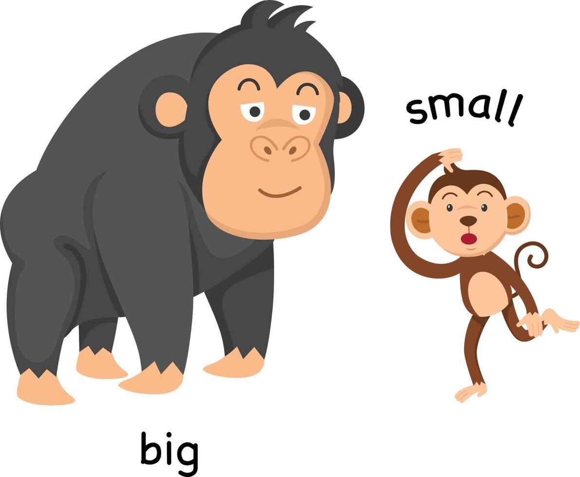 Opposite big and small vector illustration