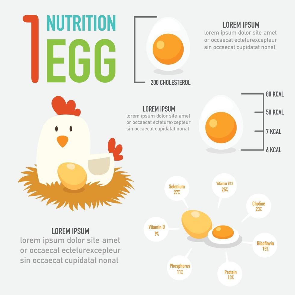 vector de nutrición de un huevo