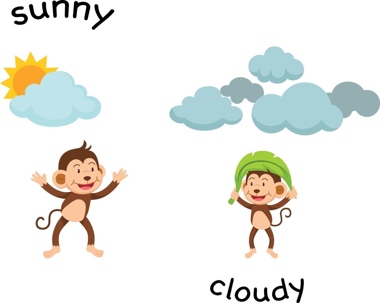 Opposite sunny and cloud vector illustration