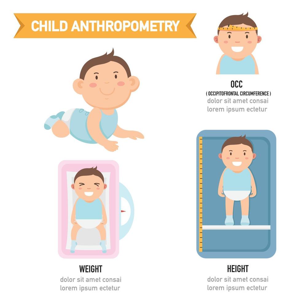 Infografía de antropometría infantil, ilustración vectorial vector