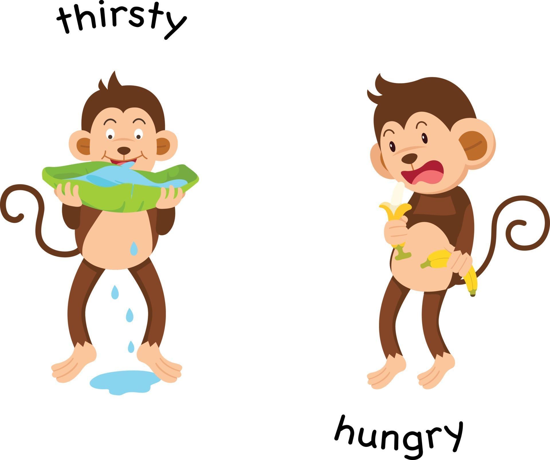 She s hungry. Hungry thirsty. Hungry thirsty Flashcards. Thirsty для детей.