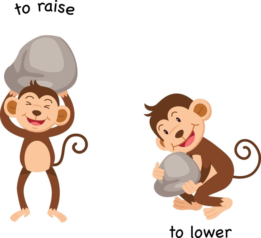 Opposite to raise and to lower vector illustration
