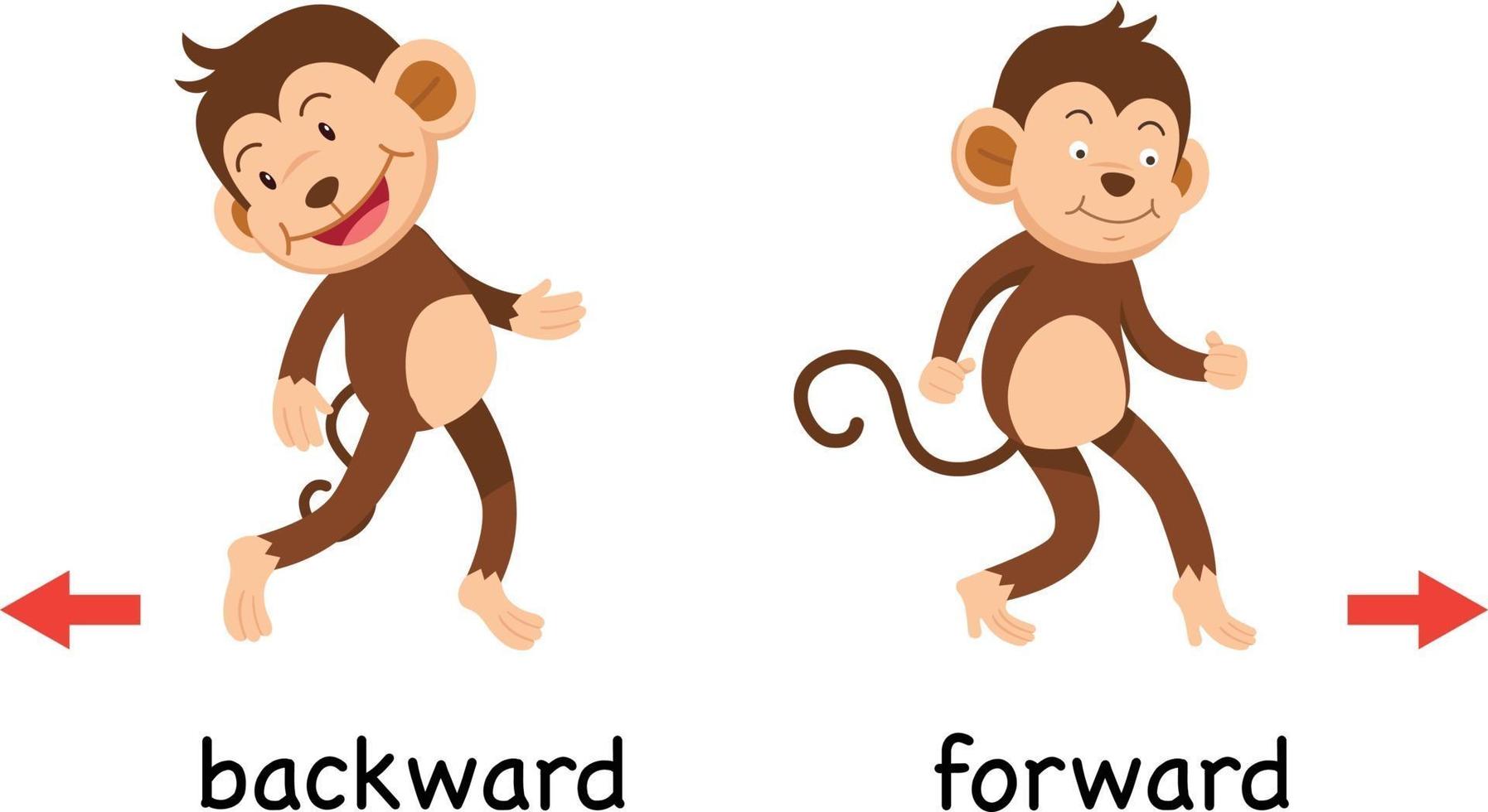 Opposite backward and forward vector illustration