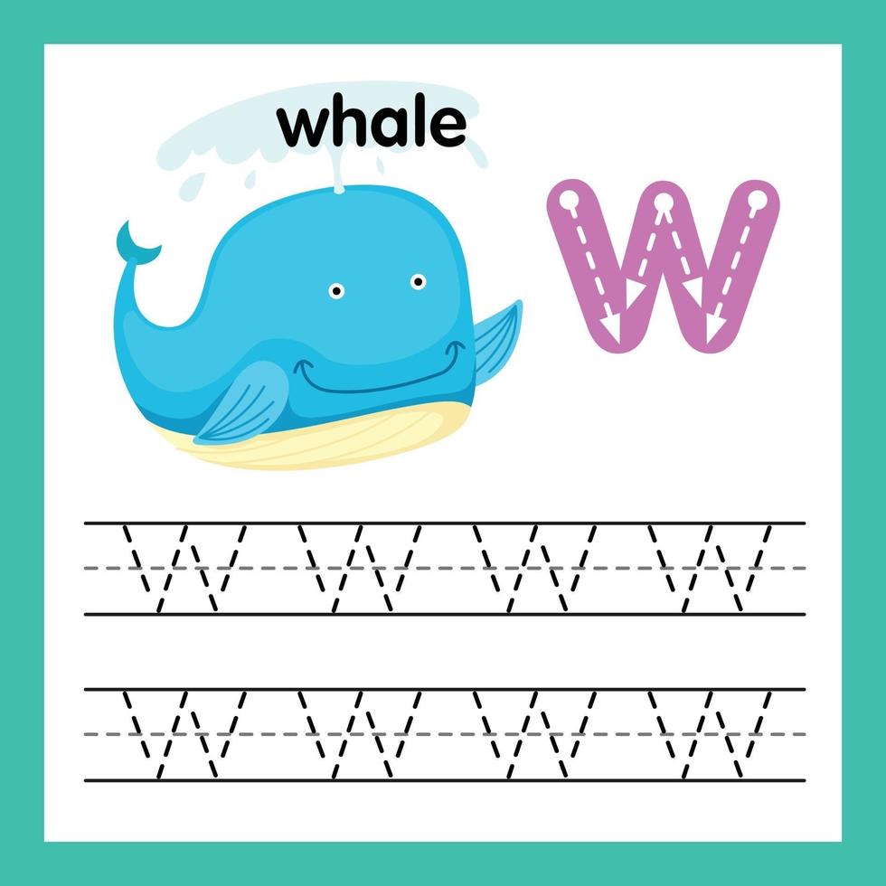 Ejercicio del alfabeto w con ilustración de vocabulario de dibujos animados, vector
