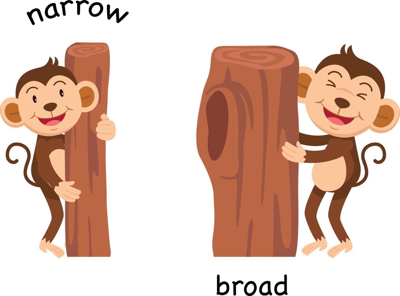 Opposite narrow and broad vector illustration