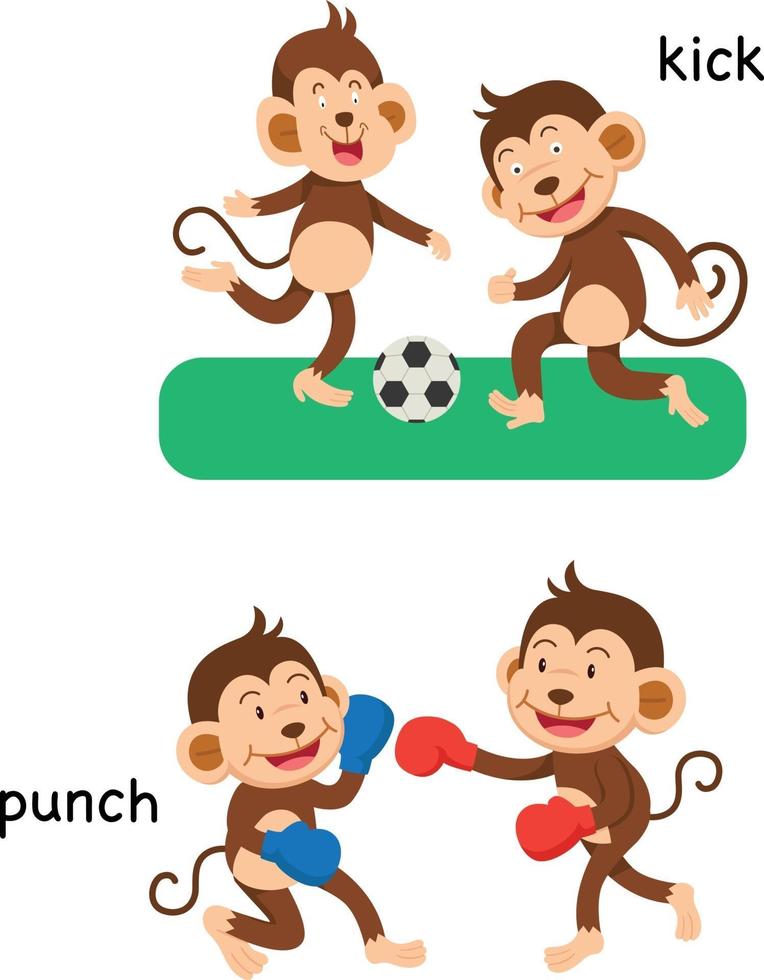 Opposite kick and punch vector illustration