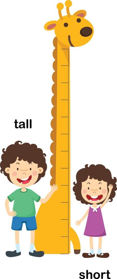 Opposite tall and short vector illustration