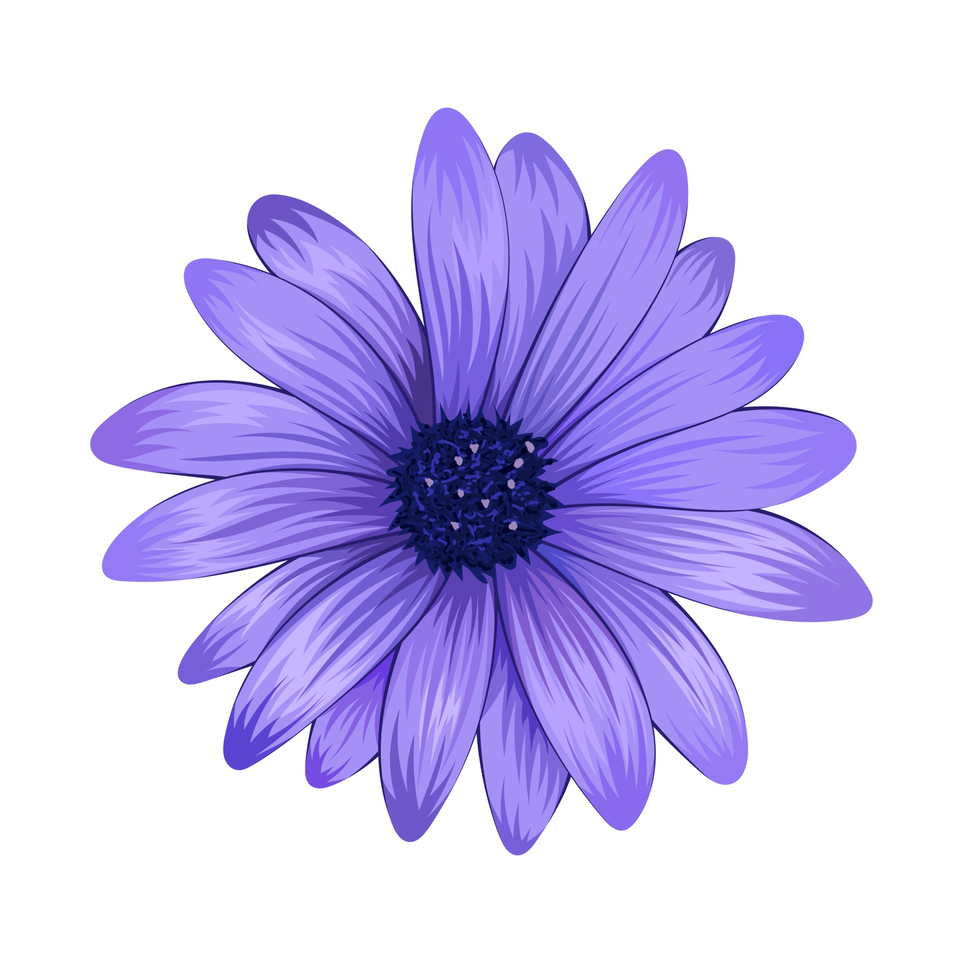 Beautiful purple daisy flower isolated on white background. 3240508 Vector  Art at Vecteezy