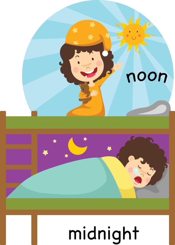Opposite noon and midnight vector illustration