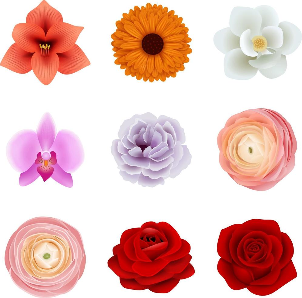 set of isolated flowers vector