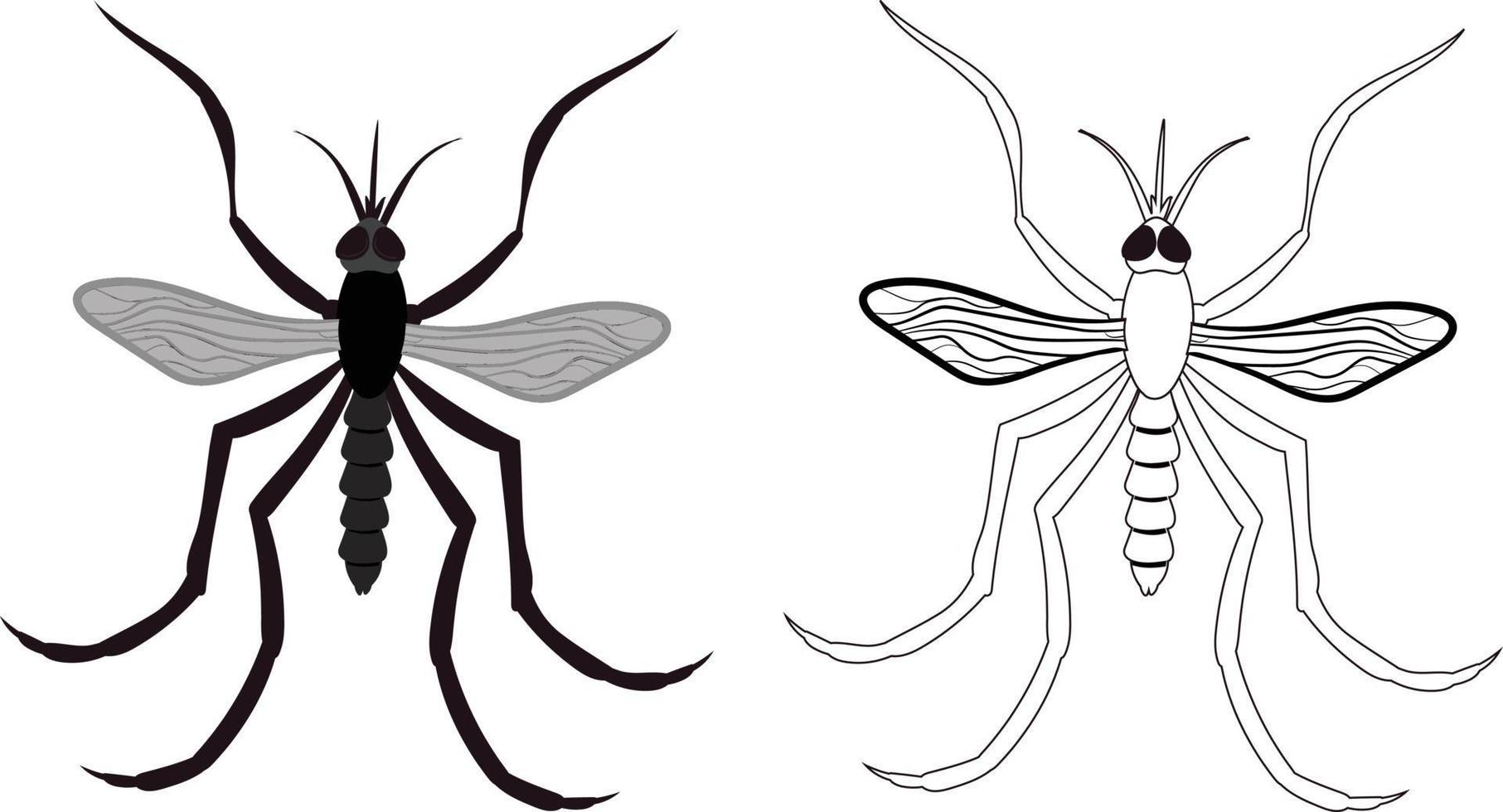 Realistic Illustration of Mosquito vector