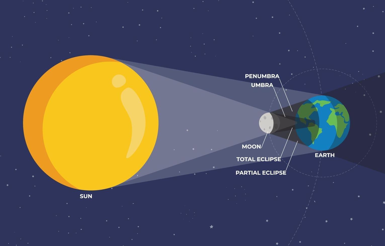 Solar Eclipse Infographic vector