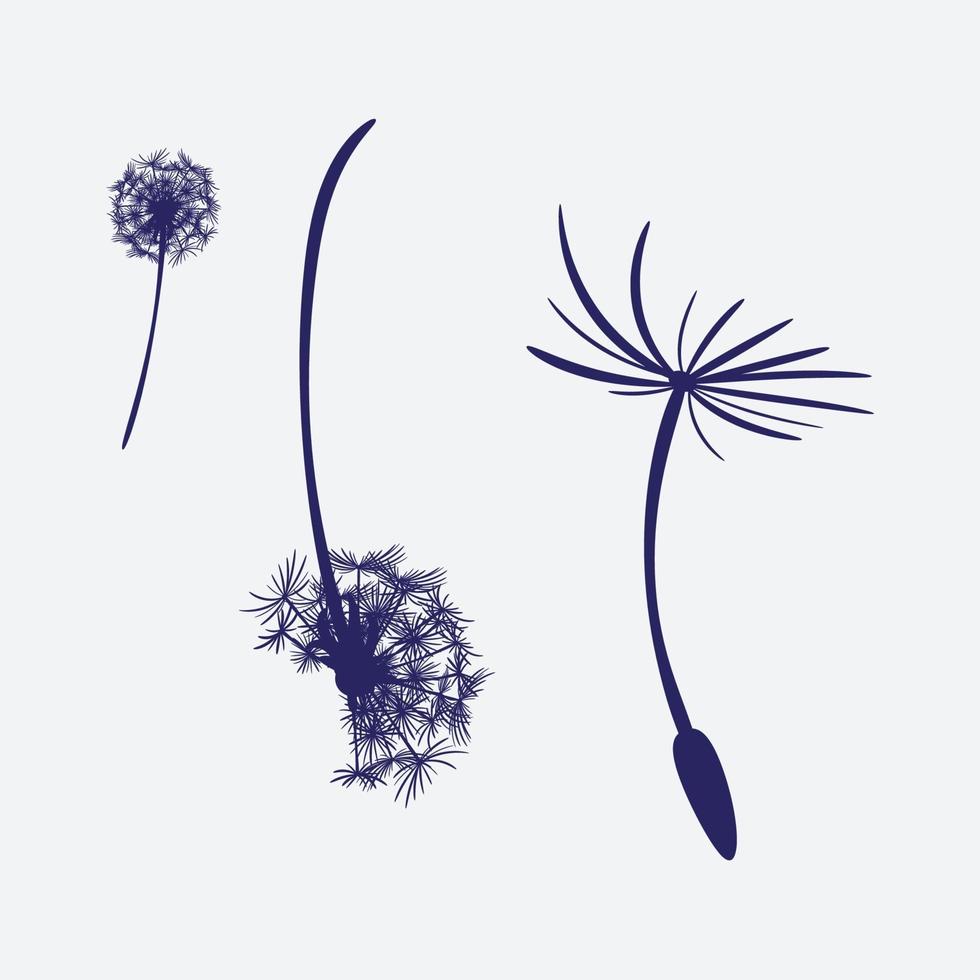 floral elements design vector