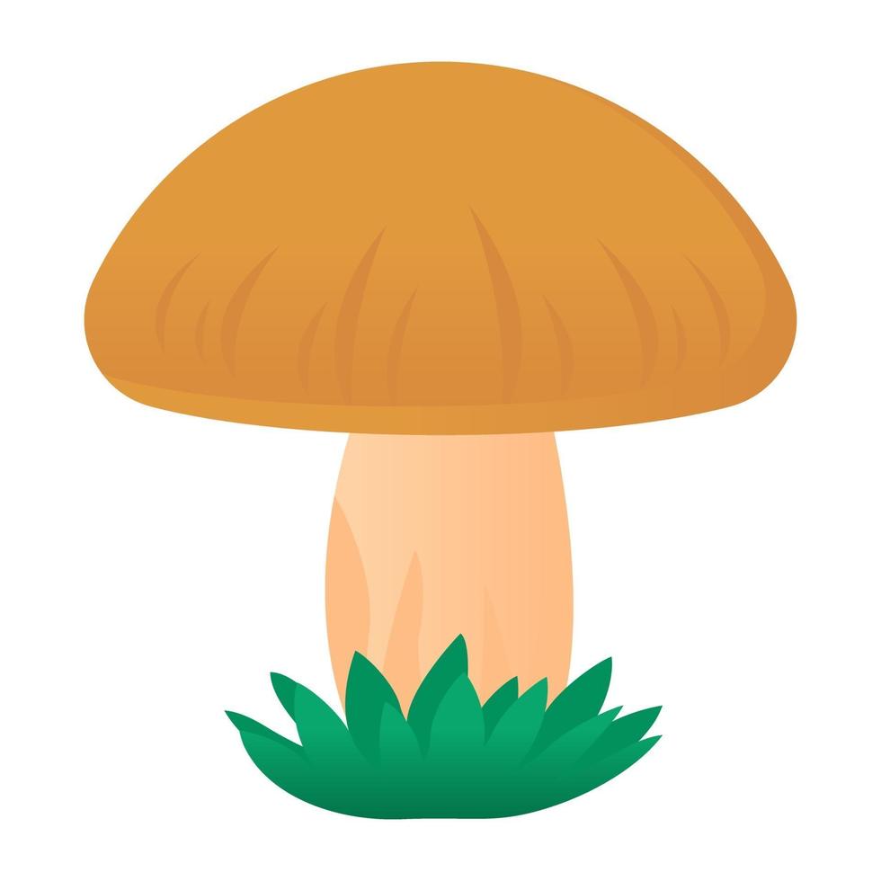 Mushroom and oyster vector