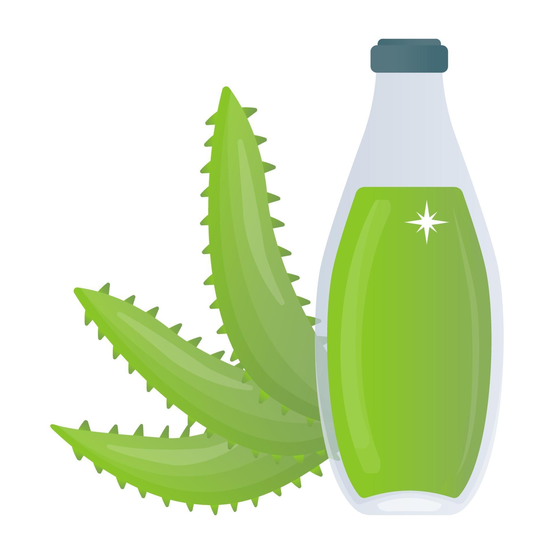 Aloe Vera Gel 3241436 Vector Art at Vecteezy