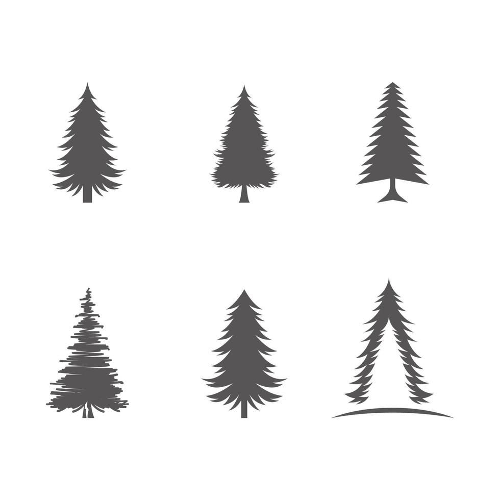 Cedar tree vector icon illustration
