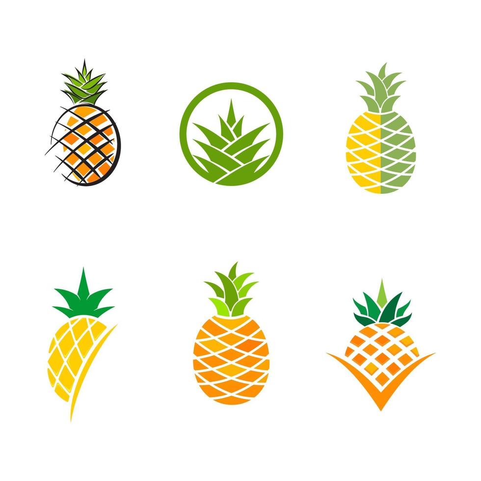 Pineapple fruit icon template vector  illustration
