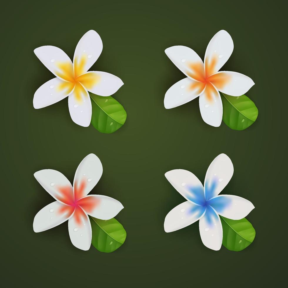 3D realistic summer flower plumeria collection set vector