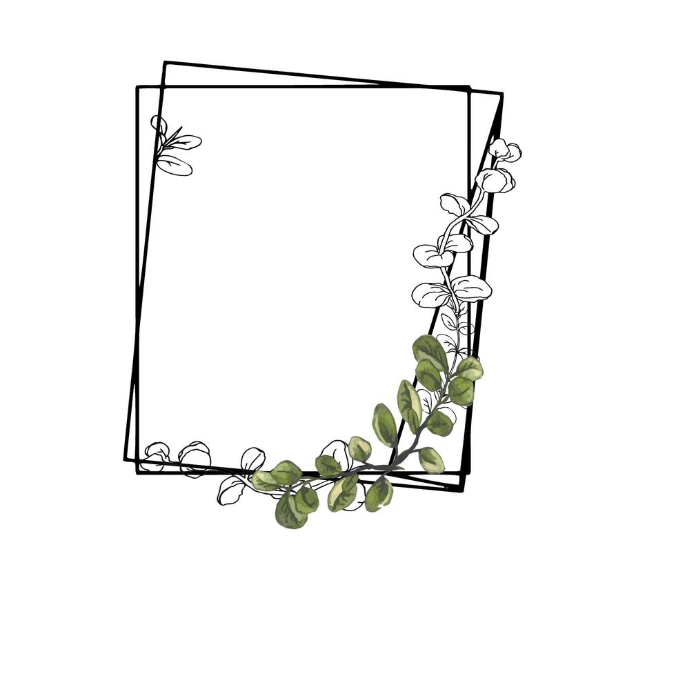 Floral frame clip art vector