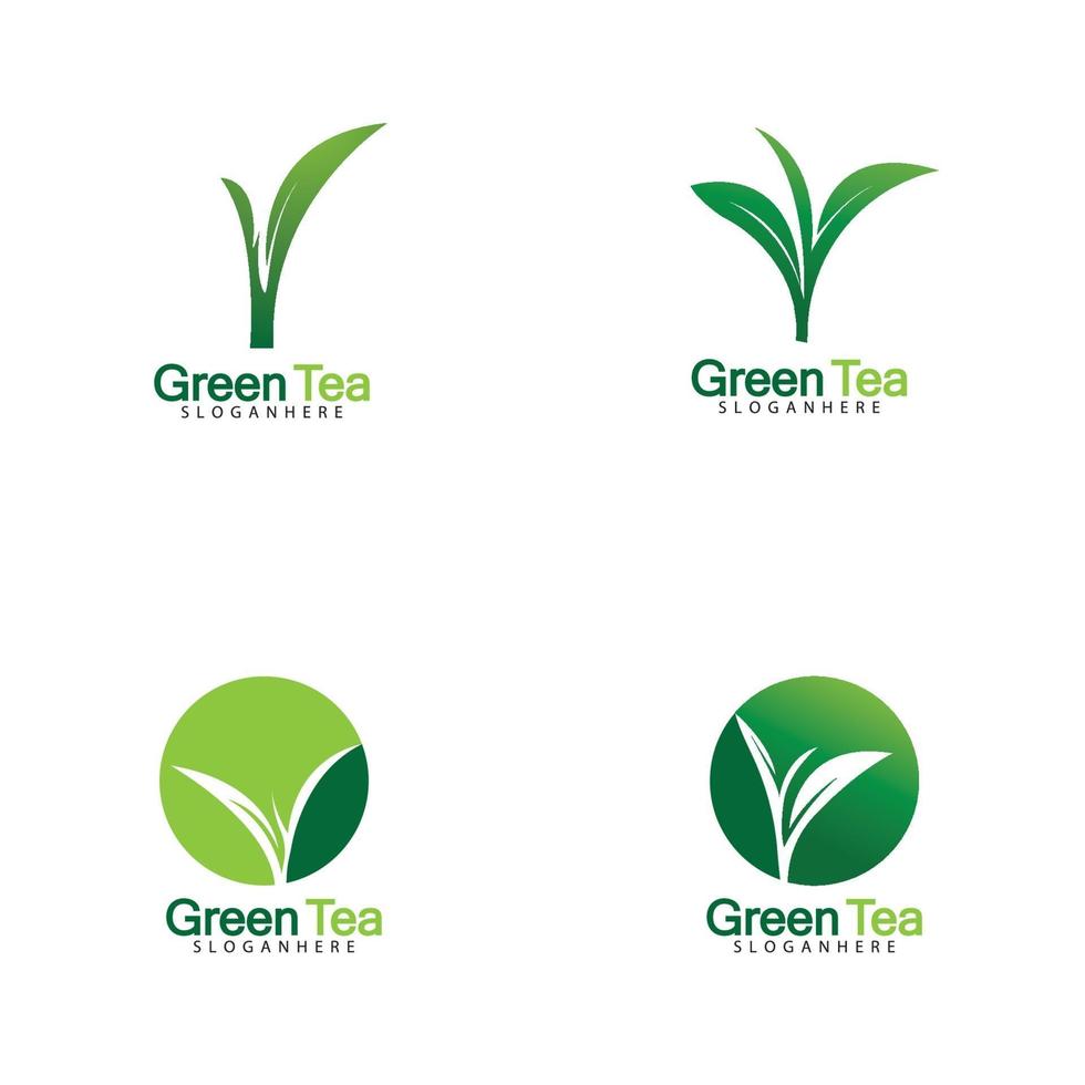 Green tea leaf logo vector icon illustration design