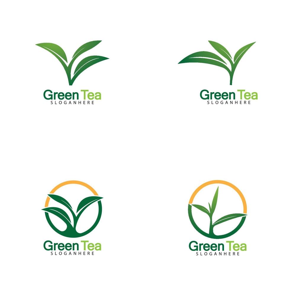 Green tea leaf logo vector icon illustration design