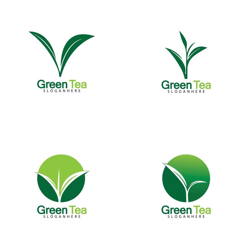 Green tea leaf logo vector icon illustration design