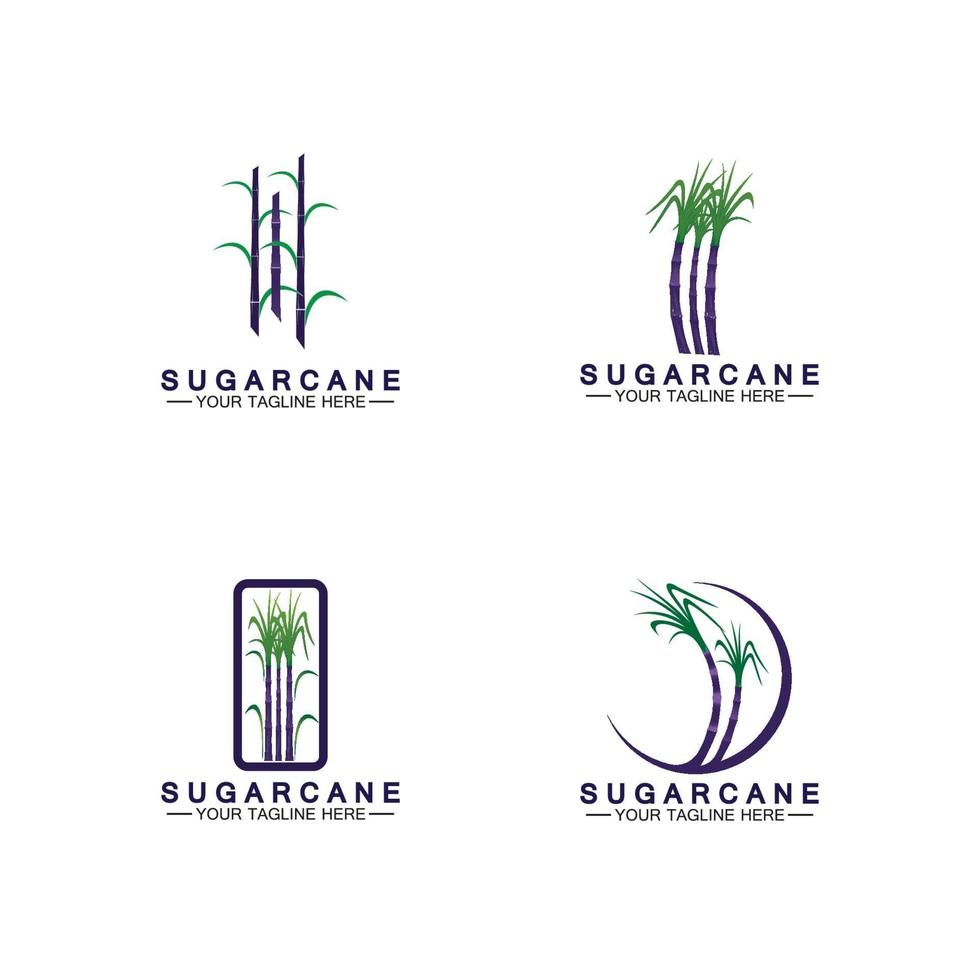 Plantilla de diseño de ilustración de vector de símbolo de icono de logotipo de caña de azúcar