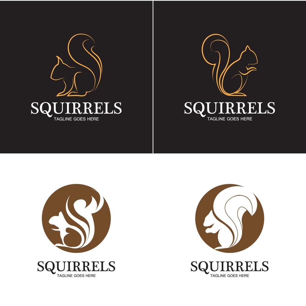 creative squirrel animal logo design icon symbol illustration-vector vector