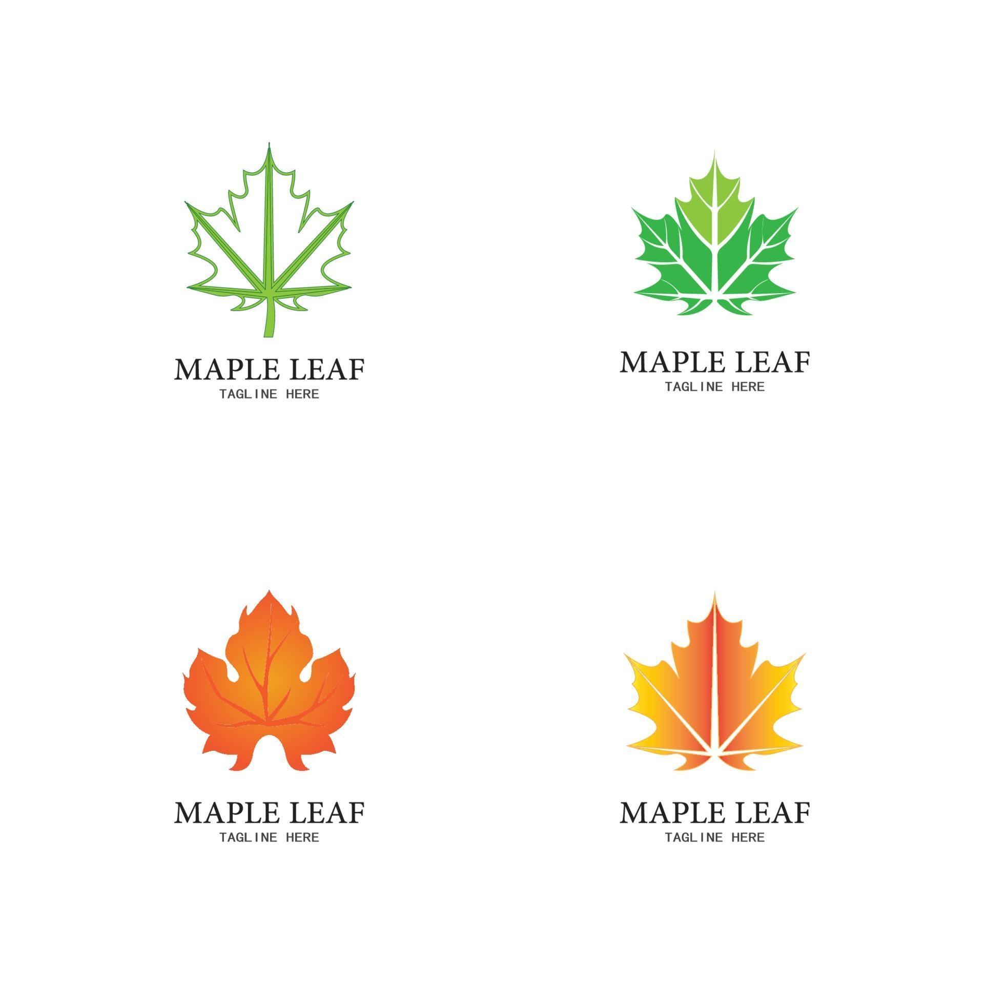 Maple leaf vector illustration 3243548 Vector Art at Vecteezy