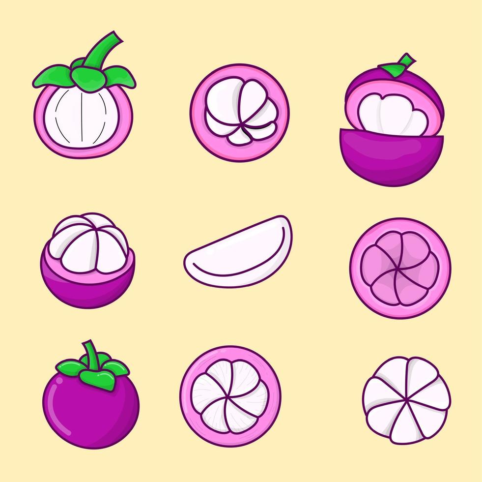 Set of mangosteen isolated vector illustration. purple mangosteen