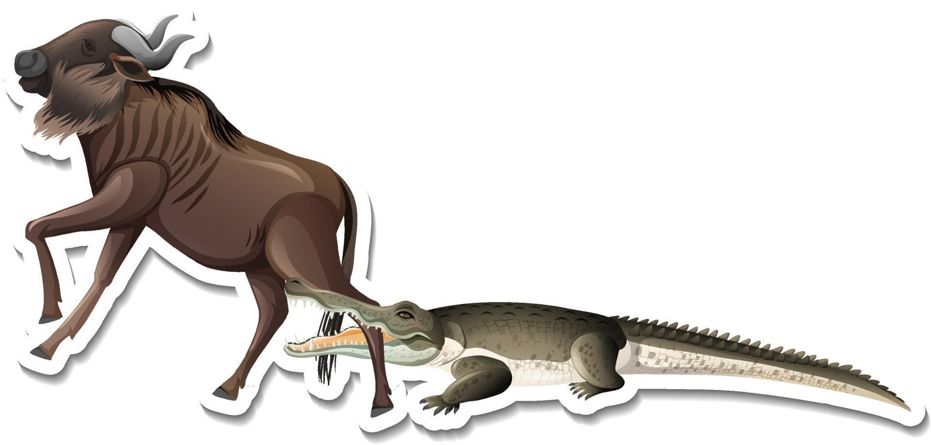 A sticker template of crocodile and wildebeest vector