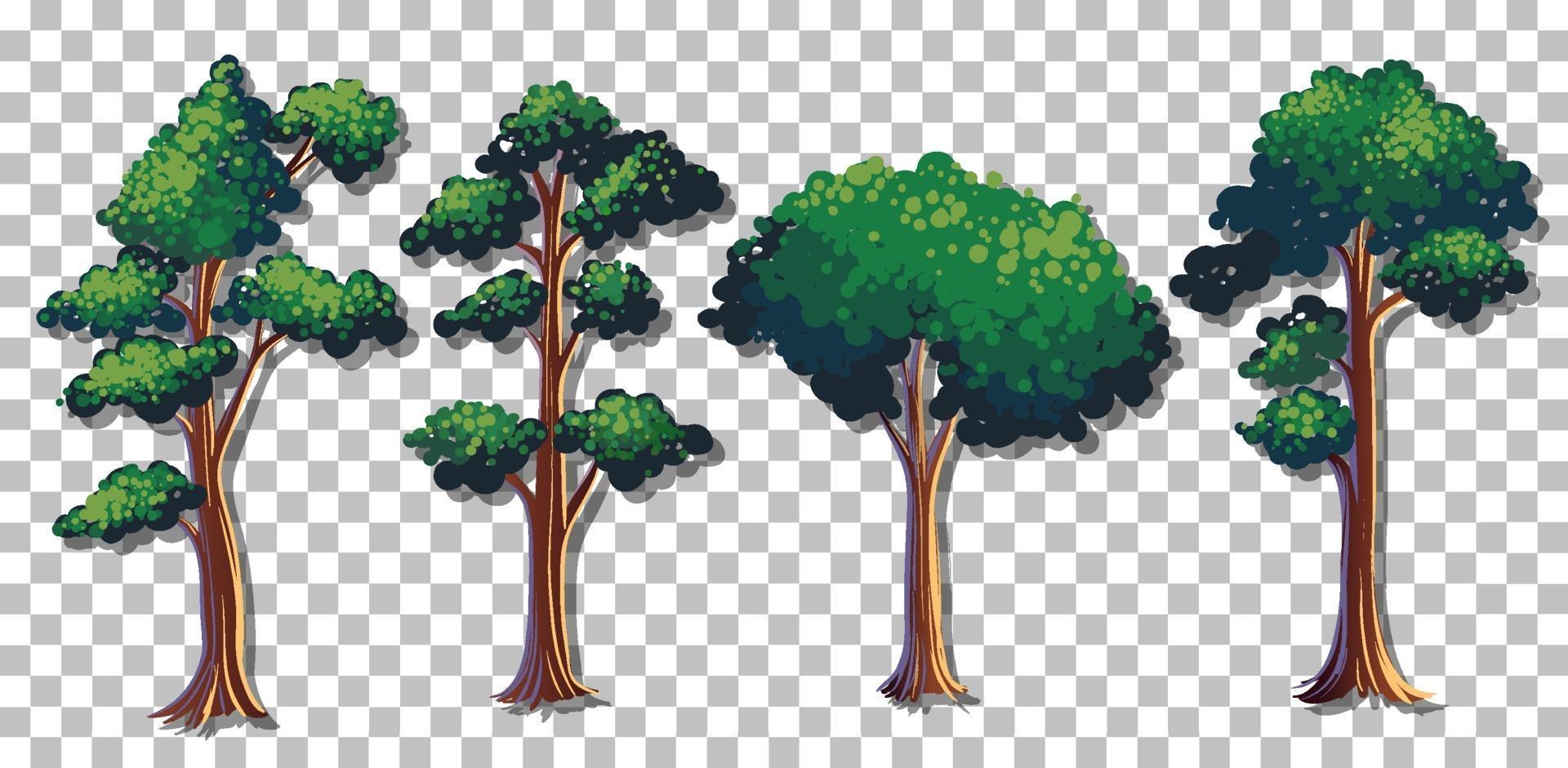 Set of various trees vector