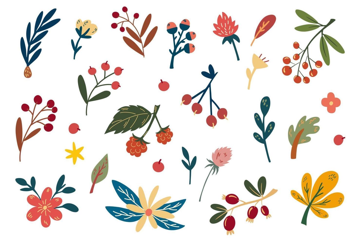 Autumn berries and flower collection. Hand draw floral bouquets. vector