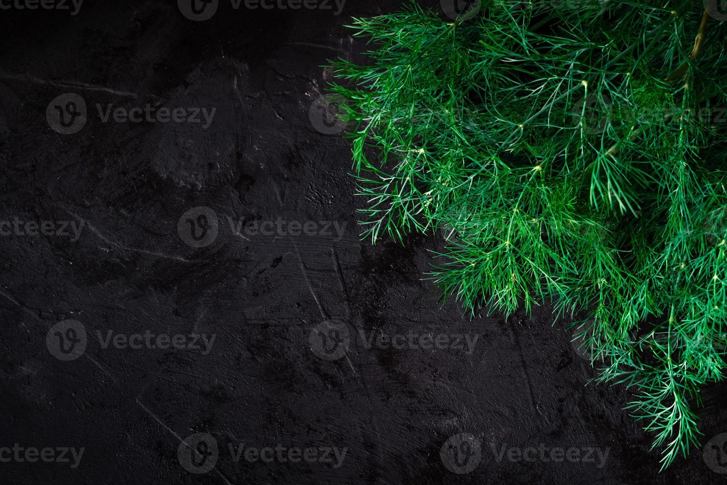 Fresh dill on black background. Top view, low key, copy space photo