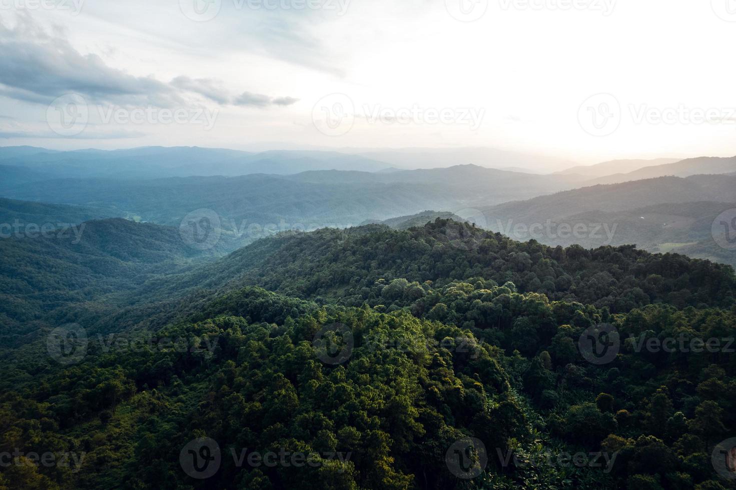 Mountains and summer green forests photo