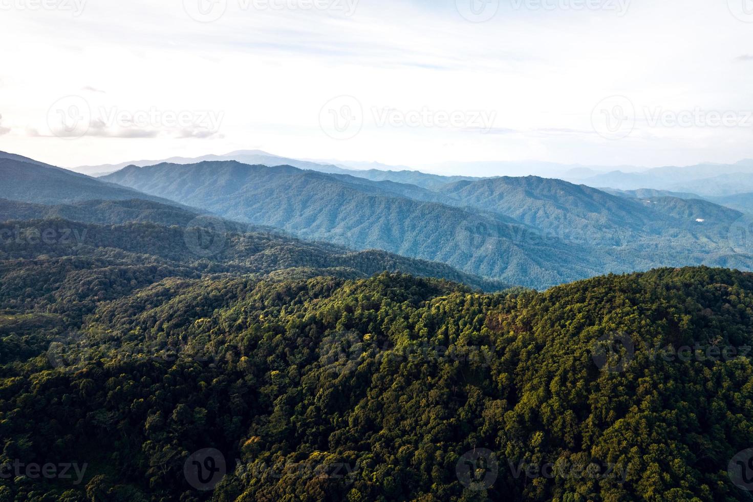 Mountains and summer green forests photo